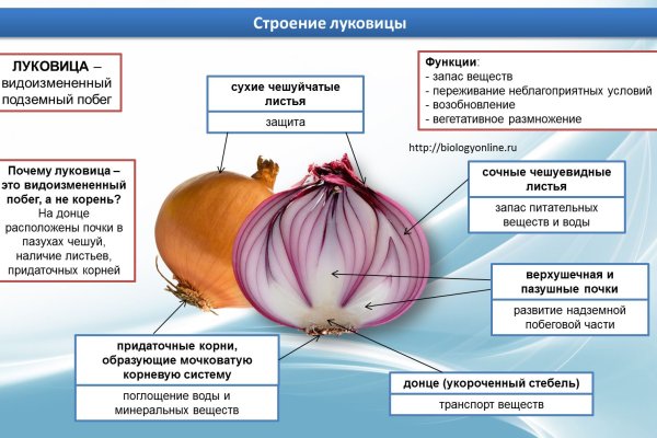 Кракен тор ссылка онион