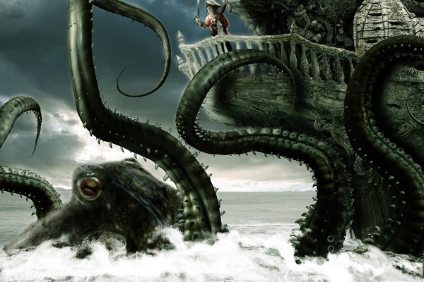 Kraken верификация